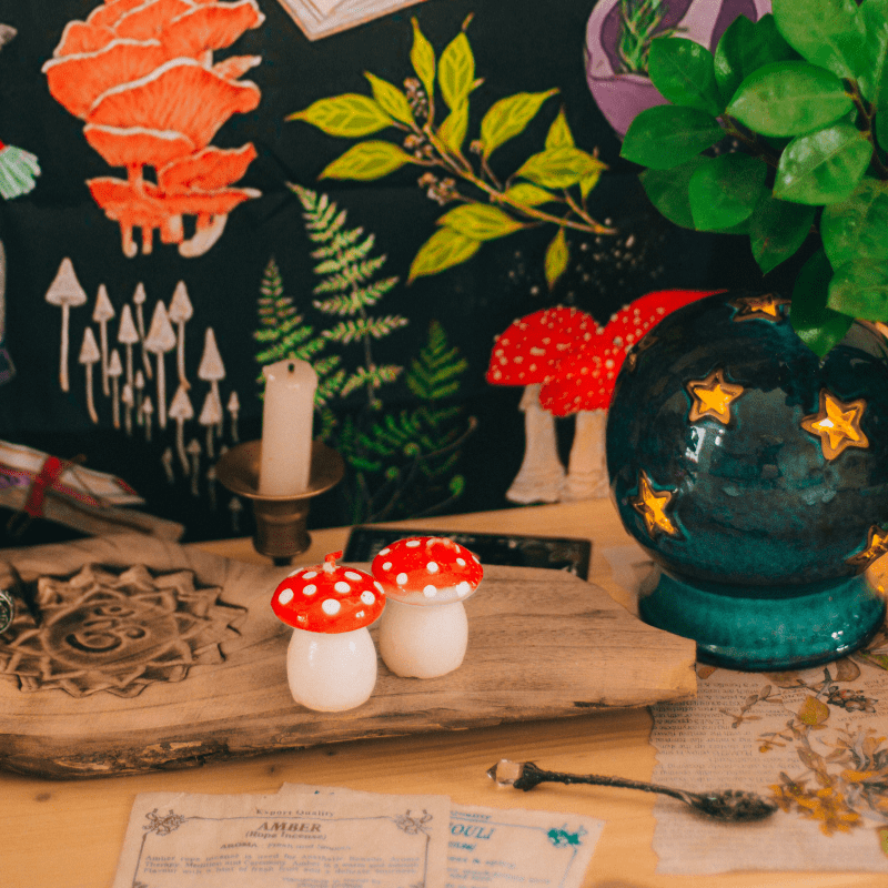 Spring Refresh: Awaken Your Space and Mind