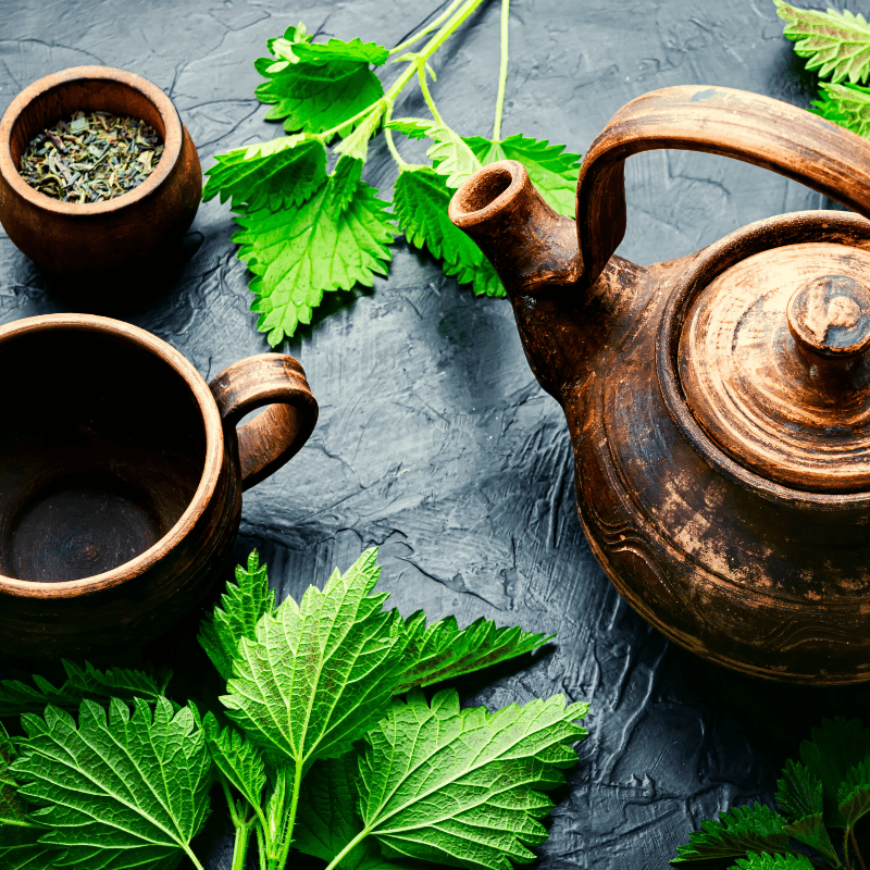 10 Herbal Teas, Tonics & Healing Rituals