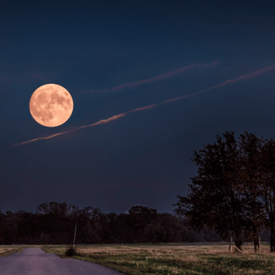 Worm Moon: March Full Moon Lore & Ritual