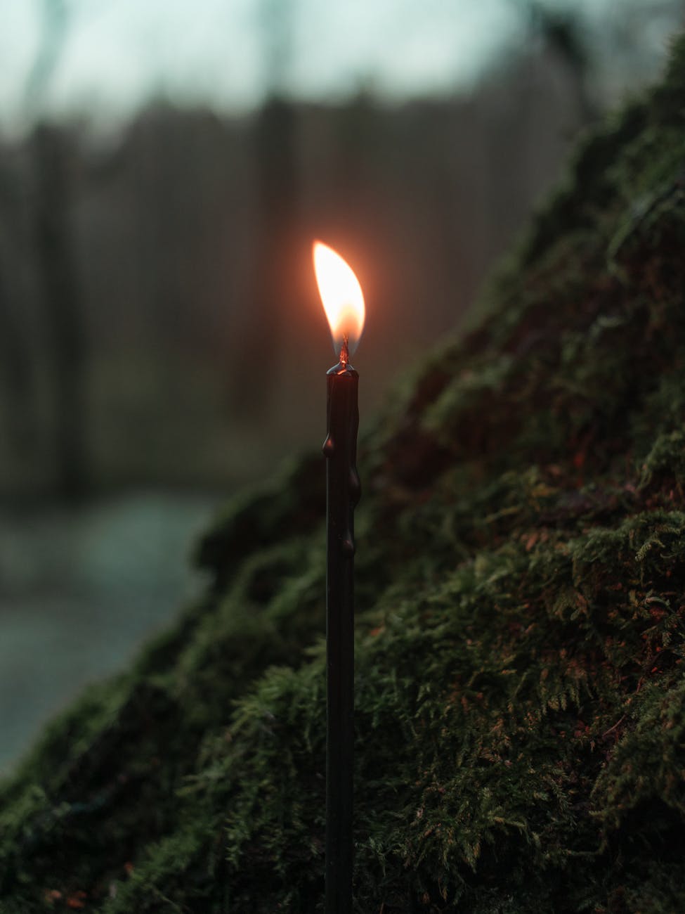 Candle Magic Guide: A Cheat Sheet for Manifestation