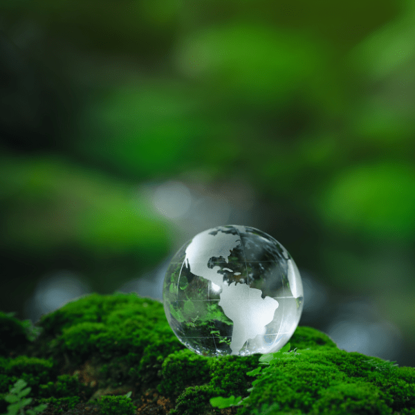 Earth Element: Strength, Stability, and Sacred Spirits