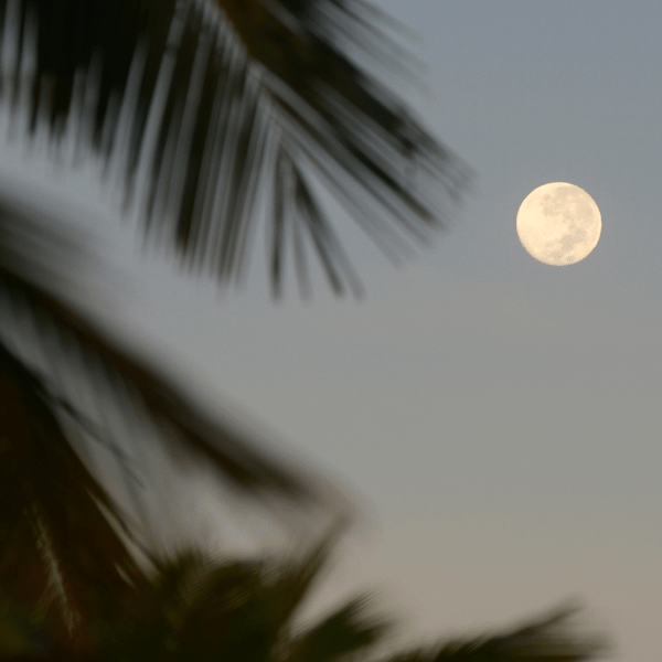 July Full Moon: A Spell Jar for the Buck Moon