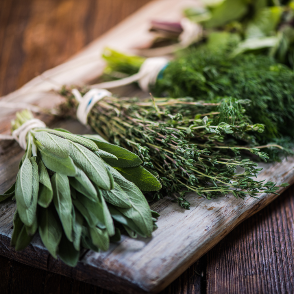 Fall Herbs for Protection, Nourishment & Dreamwork